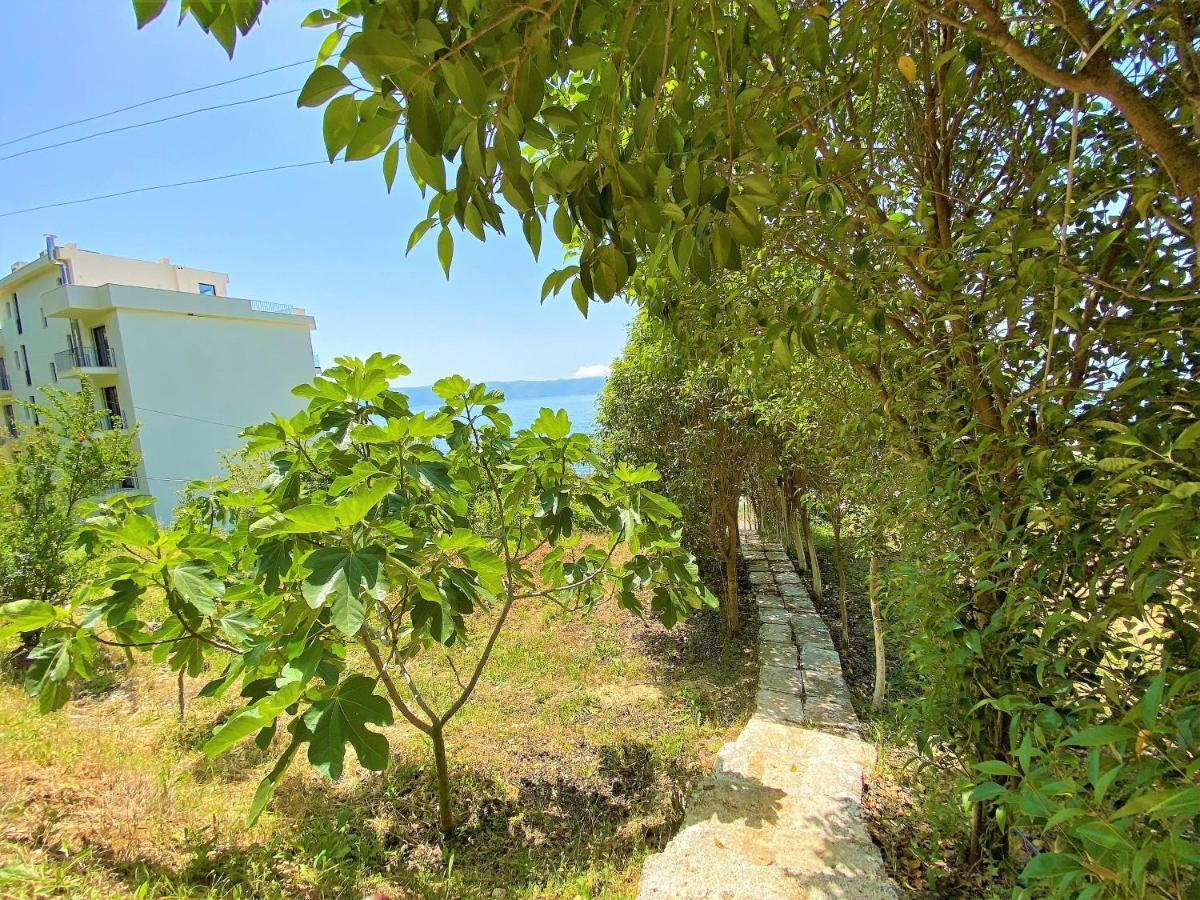 Ramo'S Cozy Beachside Haven With Panoramic Views - 1St Vlore Luaran gambar