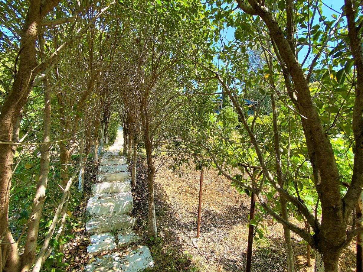Ramo'S Cozy Beachside Haven With Panoramic Views - 1St Vlore Luaran gambar